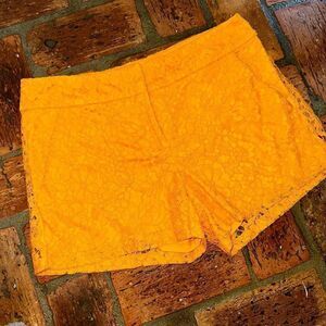 New York & Co Gold Yellow Mustard Crochet Lace Shorts